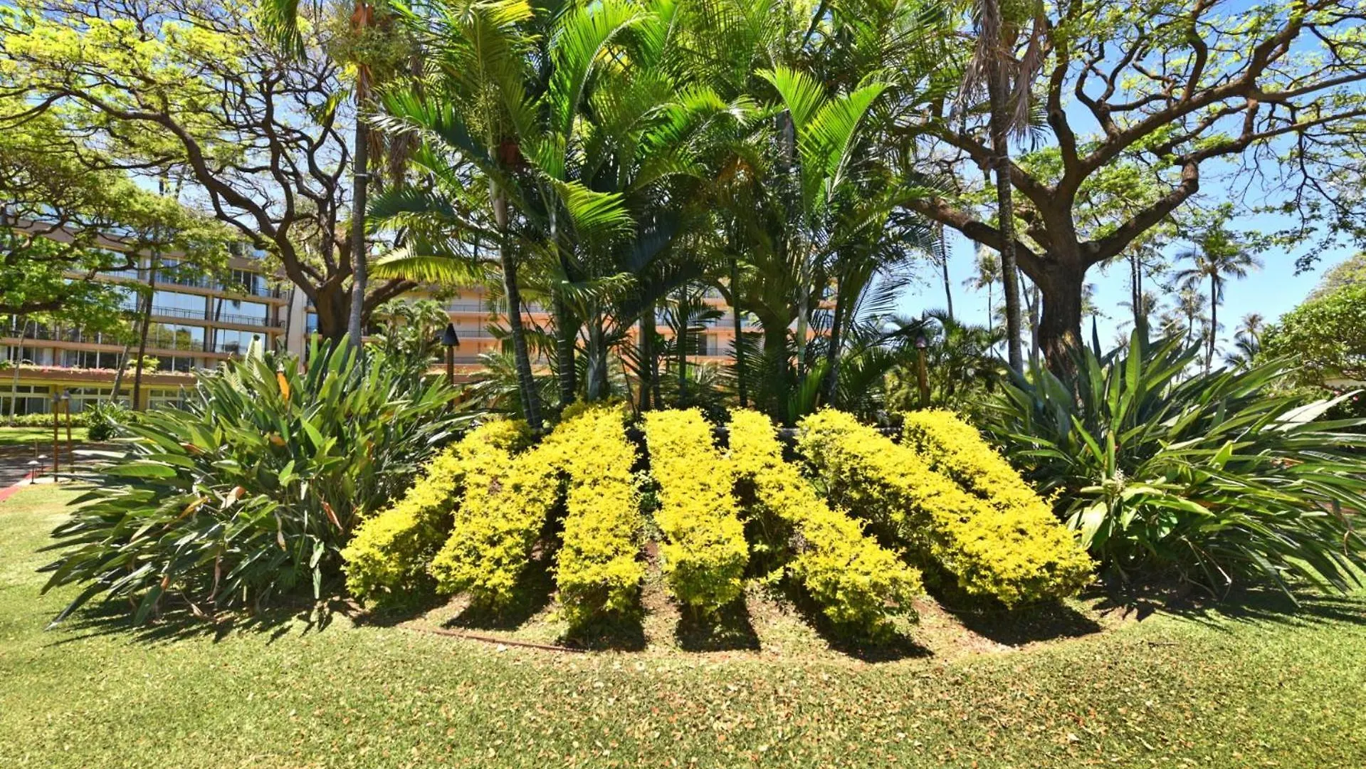 Kbm Resorts Free Car Maui Kaanapali Mkv-C152 Estados Unidos da América