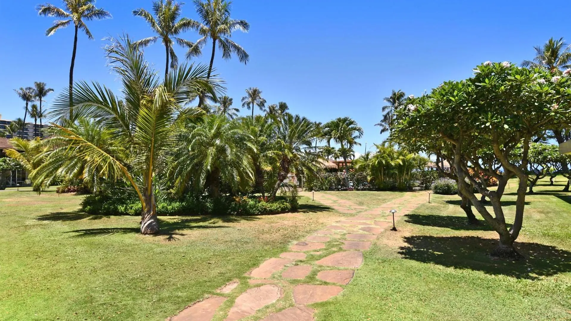 Kbm Resorts Free Car Maui Kaanapali Mkv-C152