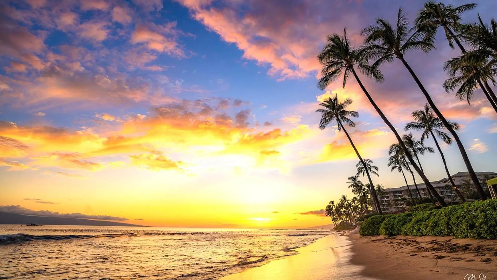 Kbm Resorts Free Car Maui Kaanapali Mkv-C152